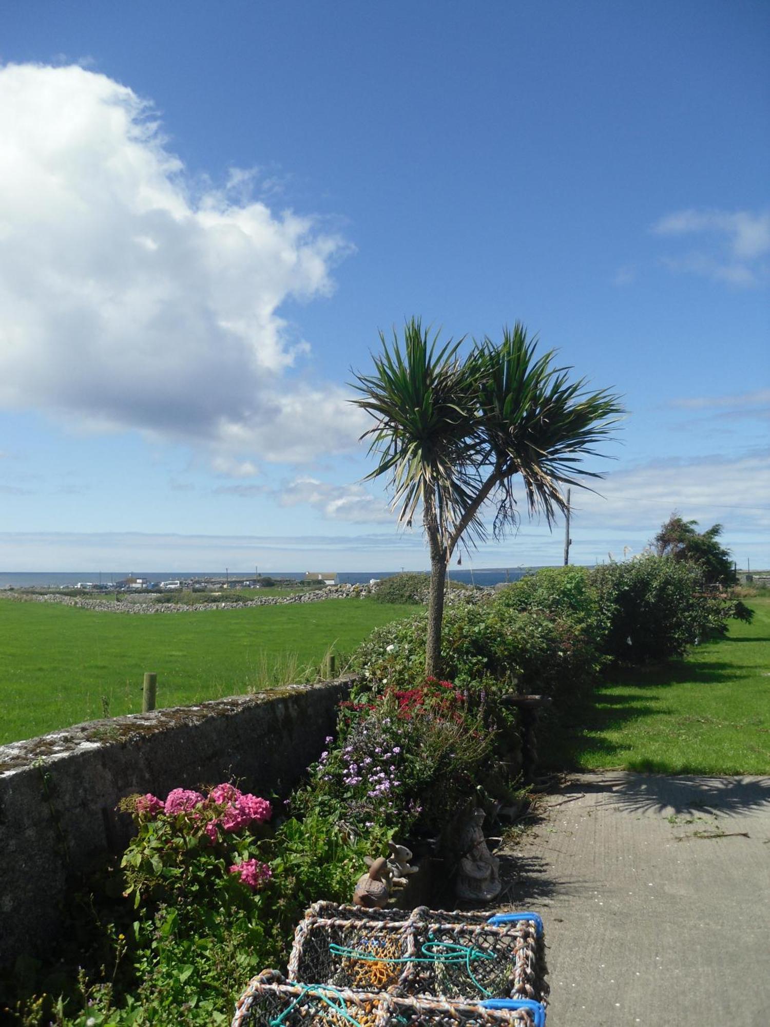 Atlantic View House Hotel Doolin Kültér fotó